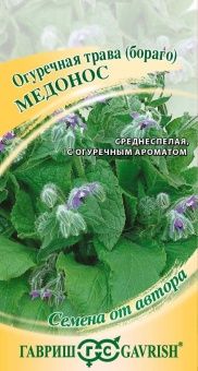 00025353_Огуречная трава Медонос (Бораго) (Гавриш)