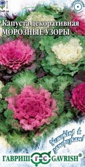 00040861_Капуста декоративная Морозные Узоры смесь