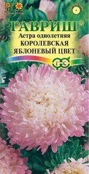 00010382_Астра Королевская яблоневый цвет (Гавриш)
