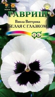 00008278_Виола белая с глазком (Гавриш)
