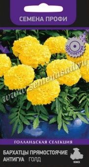 00027755_Бархатцы Антигуа голд прямостоячие серия 