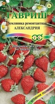 00011463_Земляника Александрия (Гавриш) 1_1000