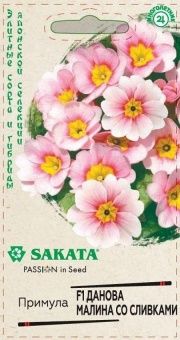 00038626_Примула Данова малина со сливками 5шт (Га