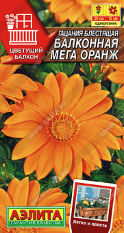Снимок экрана 2025-08-01 111852