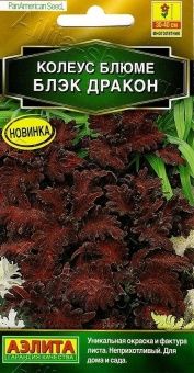 00040815_Колеус блюме Блэк дракон (Аэлита)