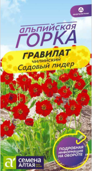 Снимок