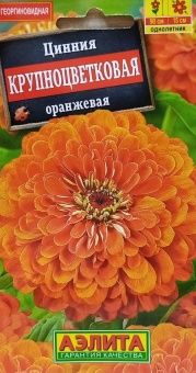 00001950_Цинния Крупноцветковая оранжевая (Аэлита)