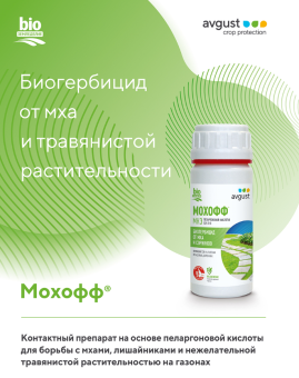 Снимок
