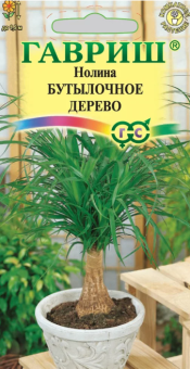 00007422_Нолина Бутылочное дерево (Гавриш) 1800