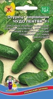 00037596_Огурец Чудо Лентяя (УД)