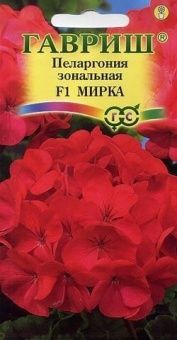 Пеларгония Мирка зональная (Гавриш)