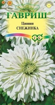 00001173_Цинния Снежинка (Гавриш)11000