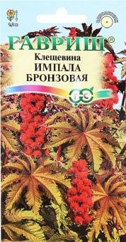 00008331_Клещевина Импала бронзовая (Гавриш) 1800