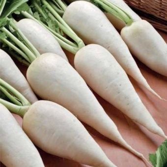 00002452_Редька Грайворонская (Усадьба)