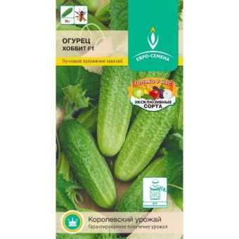 _ХОББИТ F1~150-800x800