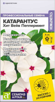 Снимок