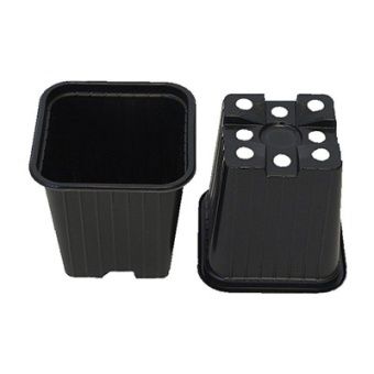 00012648_Горшок для рассады 0,31л 8x8 h8 1_50_1280