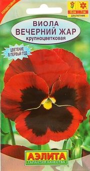 00012331_Виола Вечерний Жар (Аэлита)