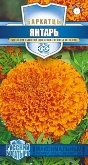 00025955_Бархатцы Янтарь (Тагетес) 0,1 г серия Рус