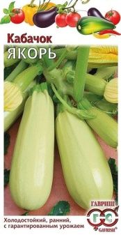 00009178_Кабачок Якорь (Гавриш)