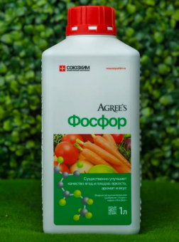 Снимок