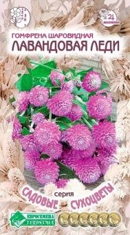 00041950_Гомфрена Лавандовая леди шаровидная 0,1г 