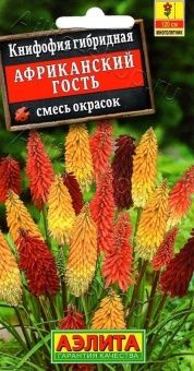 00030582_Книфофия Африканский гость смесь окрасок 