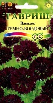 00007208_Василек Темно-бордовый (Гавриш) 1800