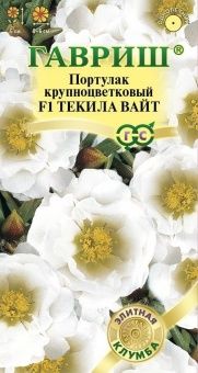 00007967_Портулак Текила Вайт (Гавриш) 1_1000