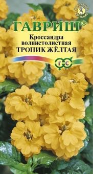 00023772_Кроссандра Тропик желтая 3шт серия Элитная клумба (Гавриш)