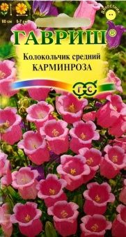 00007713_Колокольчик Карминроза средний (Гавриш)