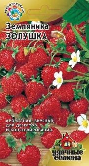 00009170_Земляника Золушка (Гавриш) 1_1000