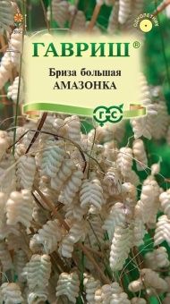 00017748_Бриза трясунка Амазонка (Гавриш)