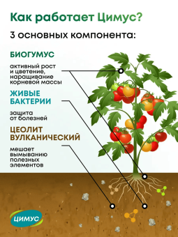 0mnwy2wmni1na9w87rmlxoknl7j67su1