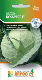 ЦБ-00023310_Капуста бк Бухарест F1 15шт Seminis (Агрос)
