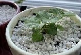 Что такое Перлит и как его использовать? Что такое Перлит и как его использовать?