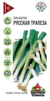 00023518_Лук батун Русская трапеза на зелень 0,5 г