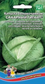 00033834_  Капуста бк Сахарный гигант (УД) 