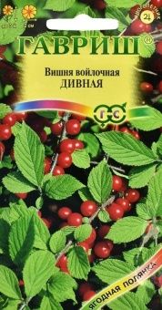 00020306_Вишня Дивная войлочная (Гавриш)
