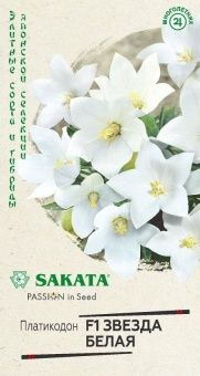 00039830_Платикодон Звезда белая F1, 5 шт Саката (