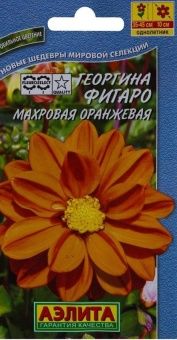 00022889_Георгина Фигаро махровая оранжевая (Аэлит