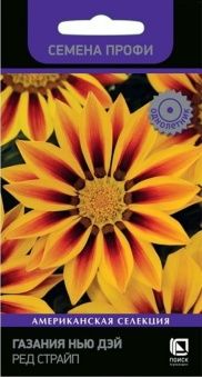 00041062_Газания Нью Дэй Ред Страйп Семена Профи 1