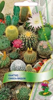 00026212_Кактус Смесь видов 0,1г (ПОИСК)