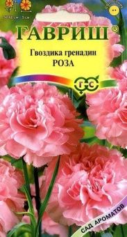 00009160_Гвоздика садовая гренадин Роза (Гавриш) 1
