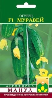 00013739_Огурец Муравей (Манул)