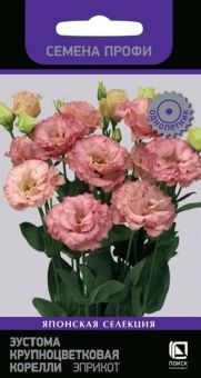 00035389_Эустома Корелли Эприкот Семена Профи 5шт 