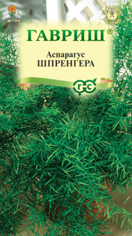 00007742_Аспарагус Шпренгера (Гавриш)