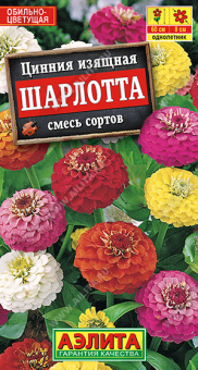 Снимок экрана 2025-10-07 130728