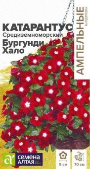 13661fb904ce5337