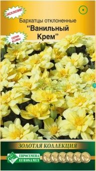 00041945_Бархатцы Ванильный крем отклоненные 10шт 